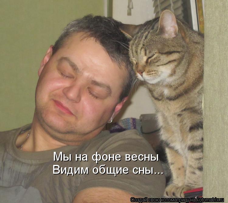 Мы на фоне весны Видим общие сны...... Котоматрица: Мы на фоне весны Видим общие сны...