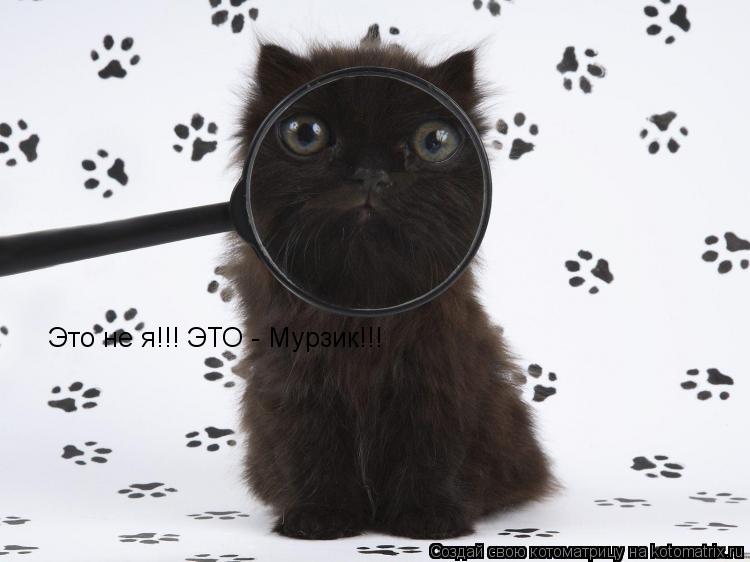 Это не я!!! ЭТО - Мурзик!!!... Котоматрица: Это не я!!! ЭТО - Мурзик!!!