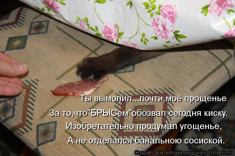 Ты вымолил...почти,моё прощенье За то,что"БРЫСем"обозвал сегодня киску. Изобретательно продумал угоще... Котоматрица: Ты вымолил...почти,моё прощенье За то,что"БРЫСем"обозвал сегодня киску. Изобретательно продумал угощенье, А не отделался банальною сосиской