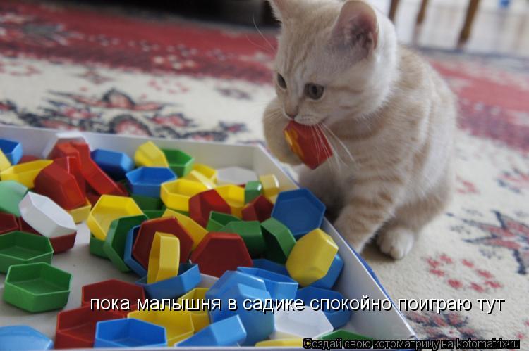 пока малышня в садике спокойно поиграю тут... Котоматрица: пока малышня в садике спокойно поиграю тут