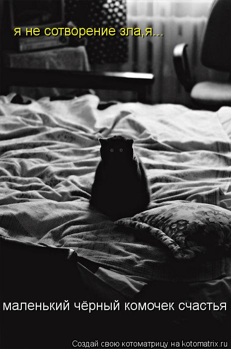 маленький чёрный комочек счастья я не сотворение зла,я...... Котоматрица: маленький чёрный комочек счастья я не сотворение зла,я...