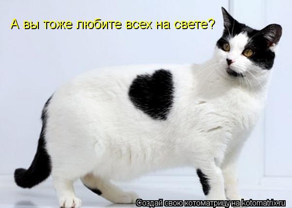 А вы тоже любите всех на свете?... Котоматрица: А вы тоже любите всех на свете?
