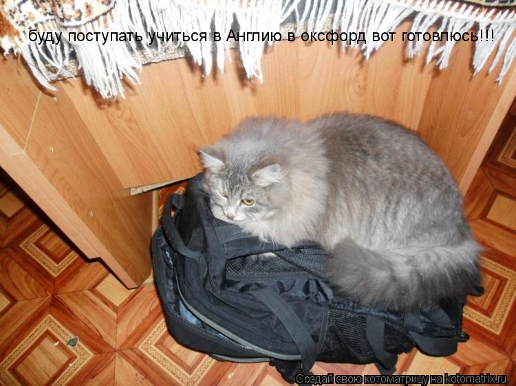 буду поступать учиться в Англию в оксфорд вот готовлюсь!!!... Котоматрица: буду поступать учиться в Англию в оксфорд вот готовлюсь!!!
