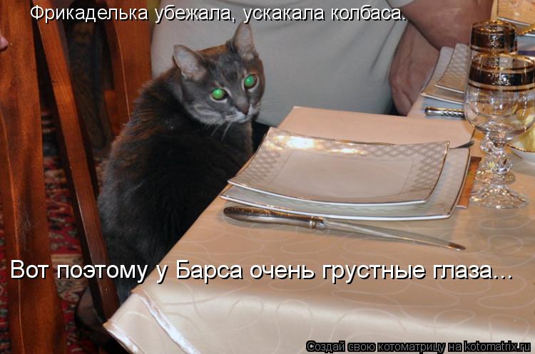 Фрикаделька убежала, ускакала колбаса. Вот поэтому у Барса очень грустные глаза...... Котоматрица: Фрикаделька убежала, ускакала колбаса. Вот поэтому у Барса очень грустные глаза...