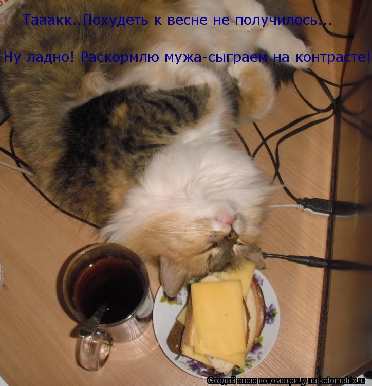 Тааакк..Похудеть к весне не получилось... Ну ладно! Раскормлю мужа-сыграем на контрасте!... Котоматрица: Тааакк..Похудеть к весне не получилось... Ну ладно! Раскормлю мужа-сыграем на контрасте!