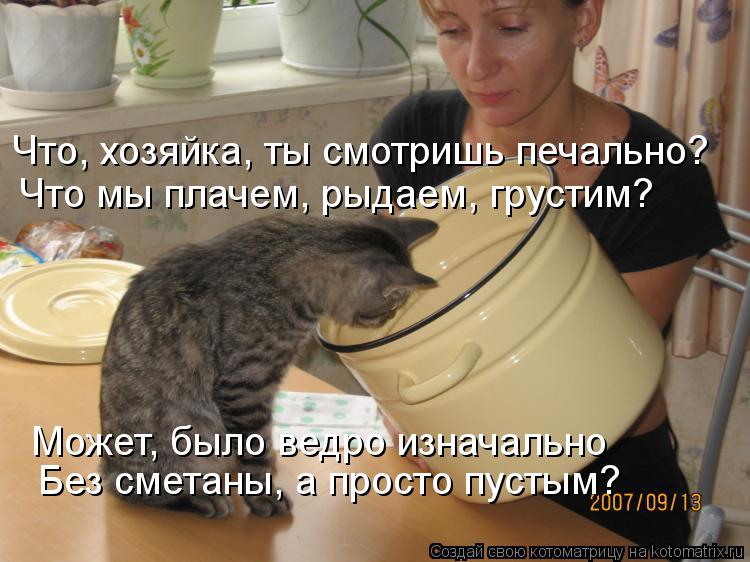 Может, было ведро изначально Без сметаны, а просто пустым? Что мы плачем, рыдаем, грустим? Что, хоз... Котоматрица: Может, было ведро изначально Без сметаны, а просто пустым? Что мы плачем, рыдаем, грустим? Что, хозяйка, ты смотришь печально?