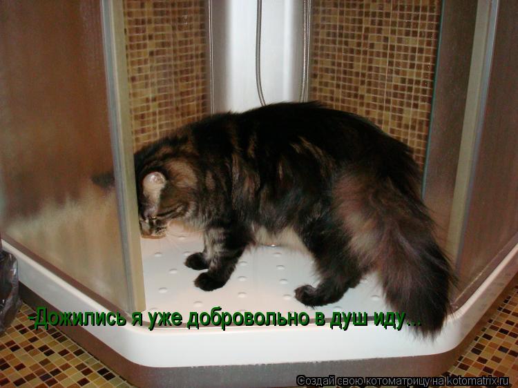 -Дожились я уже добровольно в душ иду...... Котоматрица: -Дожились я уже добровольно в душ иду...