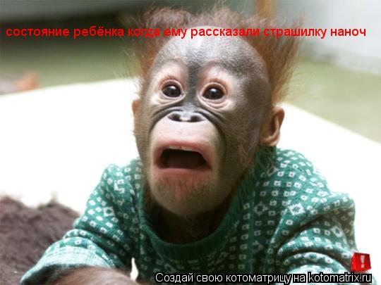 состояние ребёнка когда ему рассказали страшилку наноч... Котоматрица: состояние ребёнка когда ему рассказали страшилку наноч