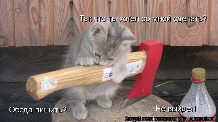 Так что ты хотел со мной сделать? Обеда лишить? Не выйдет!... Котоматрица: Так что ты хотел со мной сделать? Обеда лишить? Не выйдет!