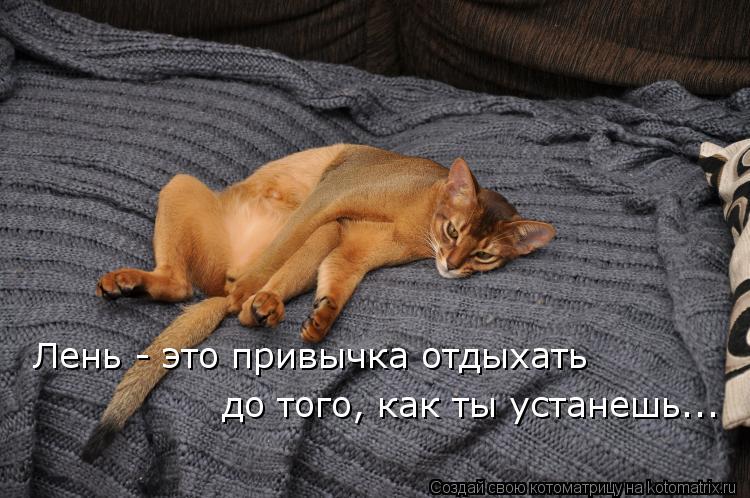 Лень - это привычка отдыхать до того, как ты устанешь...... Котоматрица: Лень - это привычка отдыхать до того, как ты устанешь...
