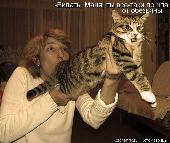 -Видать, Маня, ты все-таки пошла от обезьяны...... Котоматрица: -Видать, Маня, ты все-таки пошла от обезьяны...
