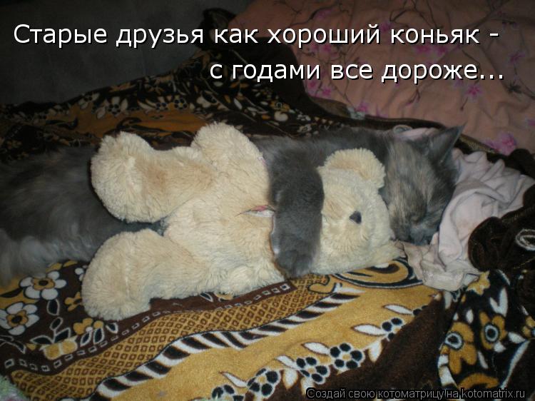 Старые друзья как хороший коньяк - с годами все дороже...... Котоматрица: Старые друзья как хороший коньяк - с годами все дороже...