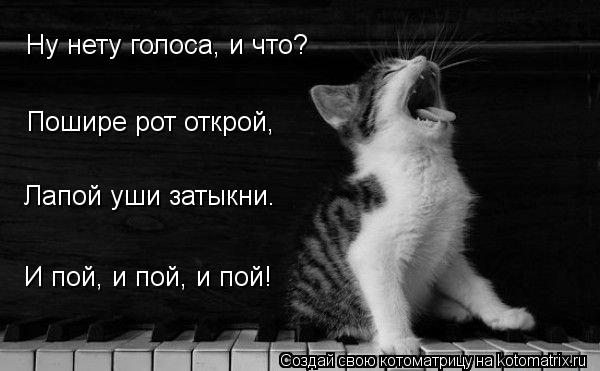 И пой, и пой, и пой! Пошире рот открой, Лапой уши затыкни. Ну нету голоса, и что?... Котоматрица: И пой, и пой, и пой! Пошире рот открой, Лапой уши затыкни. Ну нету голоса, и что?