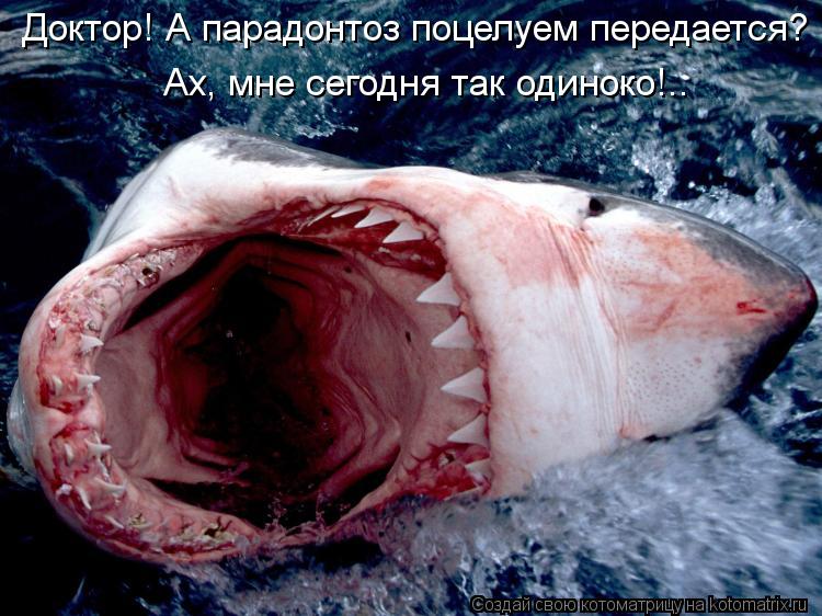 Доктор! А парадонтоз поцелуем передается? Ах, мне сегодня так одиноко!..... Котоматрица: Доктор! А парадонтоз поцелуем передается? Ах, мне сегодня так одиноко!..