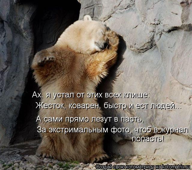 Ах, я устал от этих всех клише: Жесток, коварен, быстр и ест людей... А сами прямо лезут в пасть, За ... Котоматрица: Ах, я устал от этих всех клише: Жесток, коварен, быстр и ест людей... А сами прямо лезут в пасть, За экстримальным фото, чтоб в журнал попасть!