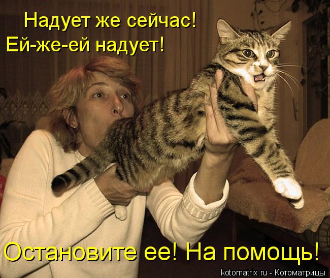 Надует же сейчас! Ей-же-ей надует! Остановите ее! На помощь!... Котоматрица: Надует же сейчас! Ей-же-ей надует! Остановите ее! На помощь!