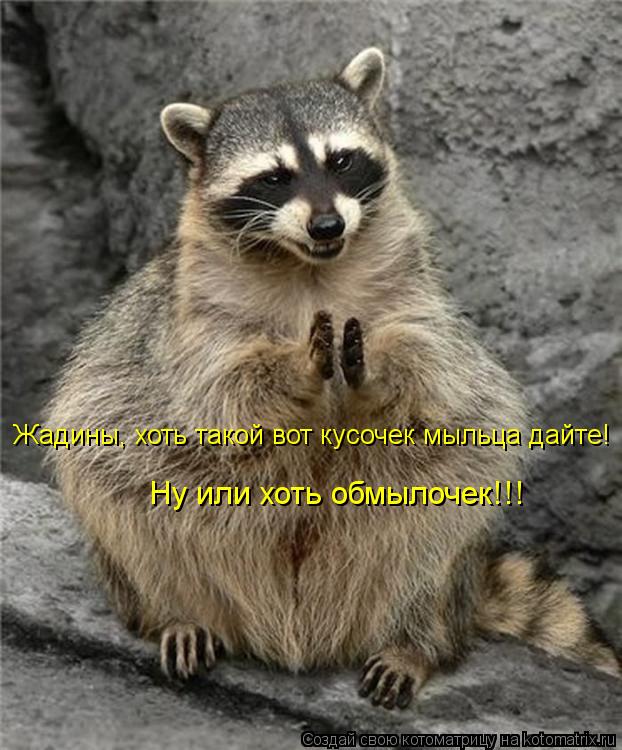 Ну или хоть обмылочек!!! Жадины, хоть такой вот кусочек мыльца дайте!... Котоматрица: Ну или хоть обмылочек!!! Жадины, хоть такой вот кусочек мыльца дайте!