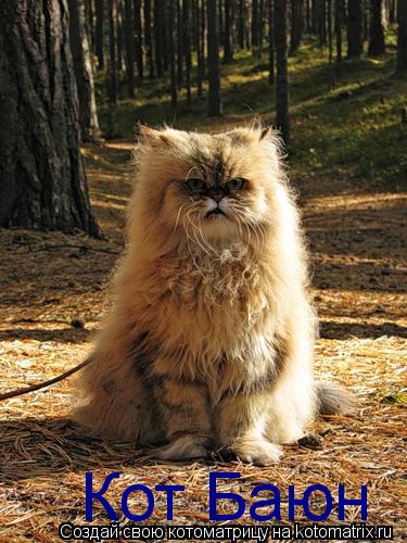 Кот Баюн... Котоматрица: Кот Баюн