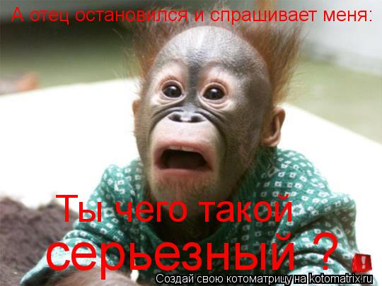 А отец остановился и спрашивает меня: Ты чего такой серьезный ?... Котоматрица: А отец остановился и спрашивает меня: Ты чего такой серьезный ?