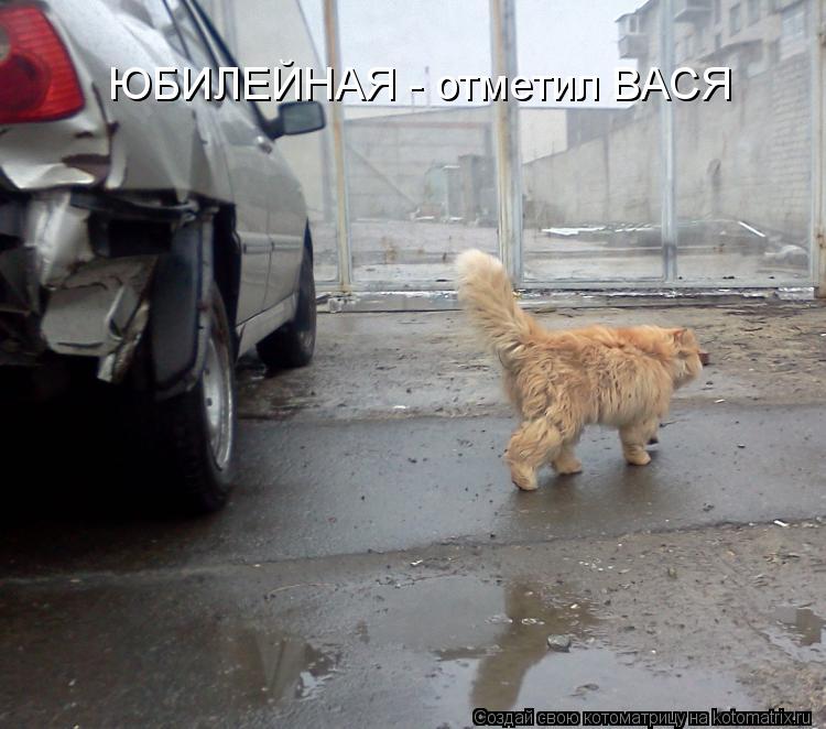 ЮБИЛЕЙНАЯ - отметил ВАСЯ... Котоматрица: ЮБИЛЕЙНАЯ - отметил ВАСЯ