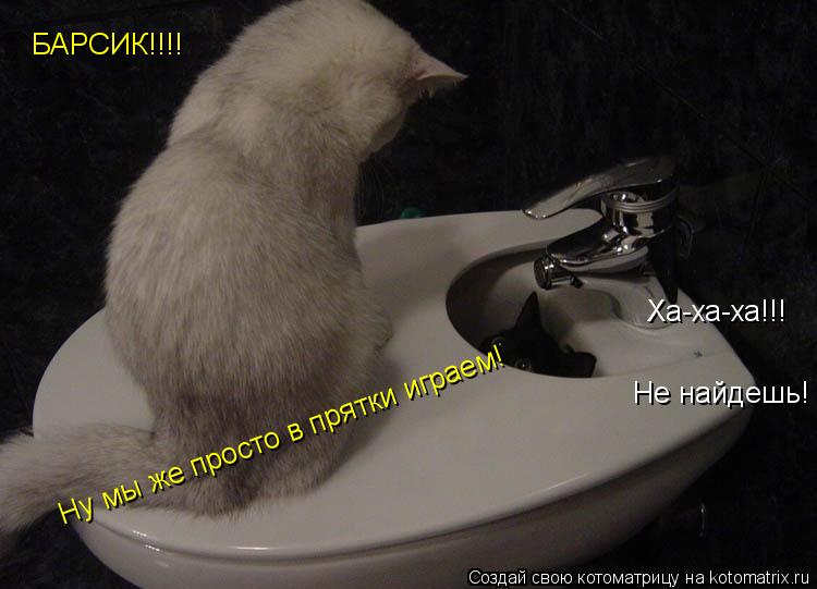 Ха-ха-ха!!! Не найдешь! БАРСИК!!!! Ну мы же просто в прятки играем!... Котоматрица: Ха-ха-ха!!! Не найдешь! БАРСИК!!!! Ну мы же просто в прятки играем!