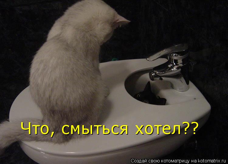 Что, смыться хотел??... Котоматрица: Что, смыться хотел??