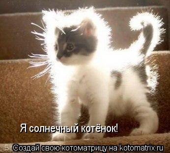 Я солнечный котёнок!... Котоматрица: Я солнечный котёнок!