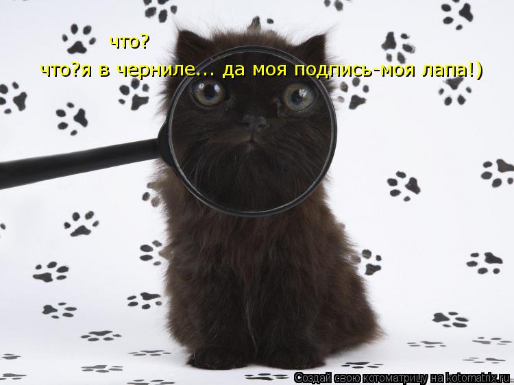 что? что?я в черниле... да моя подпись-моя лапа!) что?... Котоматрица: что? что?я в черниле... да моя подпись-моя лапа!) что?
