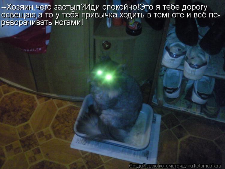 --Хозяин,чего застыл?Иди спокойно!Это я тебе дорогу освещаю,а то у тебя привычка ходить в темноте и ... Котоматрица: --Хозяин,чего застыл?Иди спокойно!Это я тебе дорогу освещаю,а то у тебя привычка ходить в темноте и всё пе- реворачивать ногами!