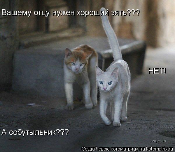 Вашему отцу нужен хороший зять??? НЕТ! А собутыльник???... Котоматрица: Вашему отцу нужен хороший зять??? НЕТ! А собутыльник???