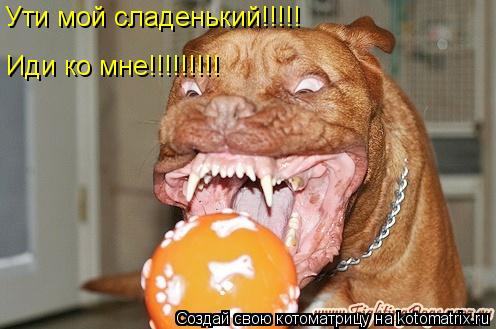 Ути мой сладенький!!!!! Иди ко мне!!!!!!!!!... Котоматрица: Ути мой сладенький!!!!! Иди ко мне!!!!!!!!!