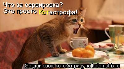 Что за сервировка? Это просто Кот астрофа!... Котоматрица: Что за сервировка? Это просто Кот астрофа!