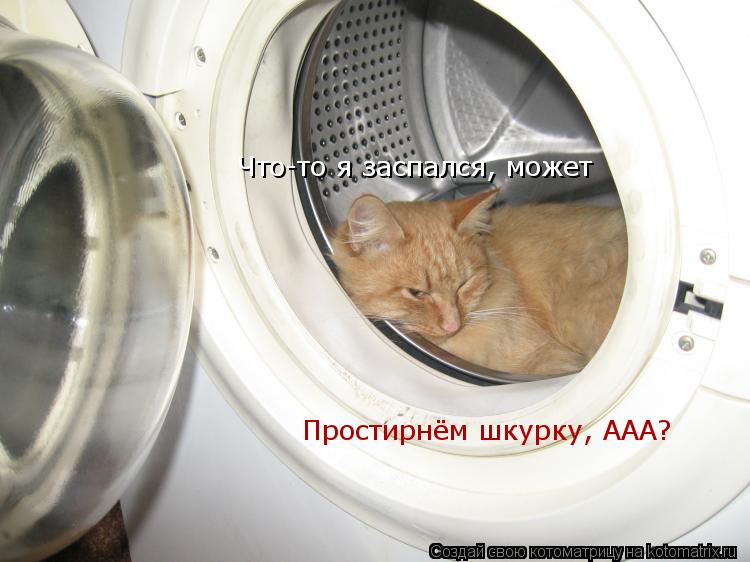 Простирнём шкурку, ААА? Что-то я заспался, может... Котоматрица: Простирнём шкурку, ААА? Что-то я заспался, может