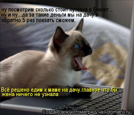 Котоматрица: ну посмотрим сколько стоит путёвка в Египет... ну и ну...да за такие деньги мы на дачу и обратно 5 раз поезать сможем. Всё решено едим к маме на 