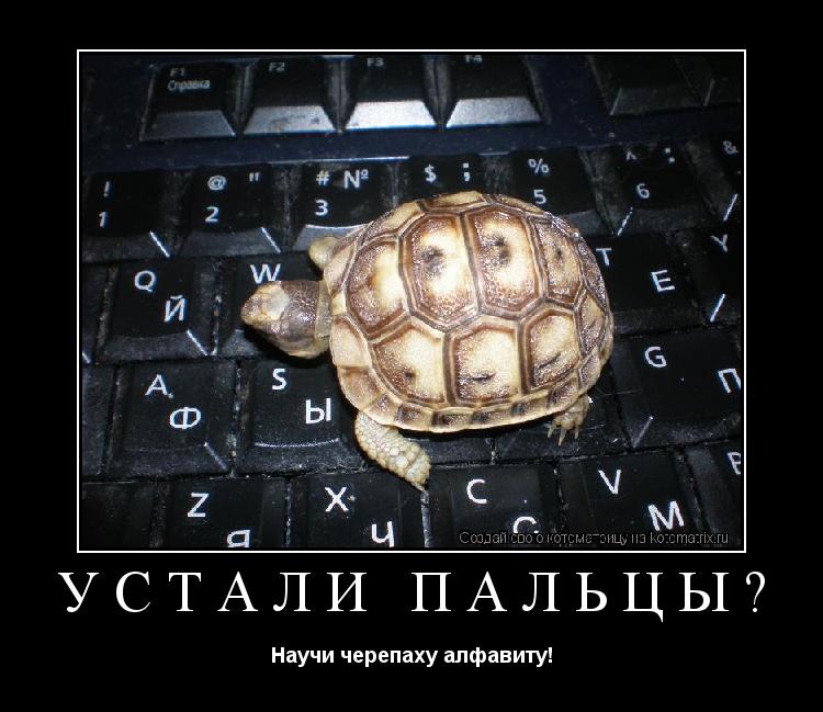 Устали пальцы? Научи черепаху алфавиту!... Котоматрица: Устали пальцы? Научи черепаху алфавиту!