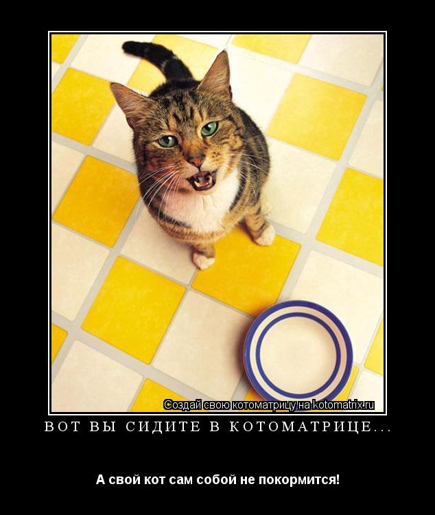 Вот вы сидите в котоматрице... А свой кот сам собой не покормится!... Котоматрица: Вот вы сидите в котоматрице... А свой кот сам собой не покормится!