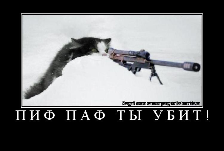 пиф паф ты убит! ... Котоматрица: пиф паф ты убит!