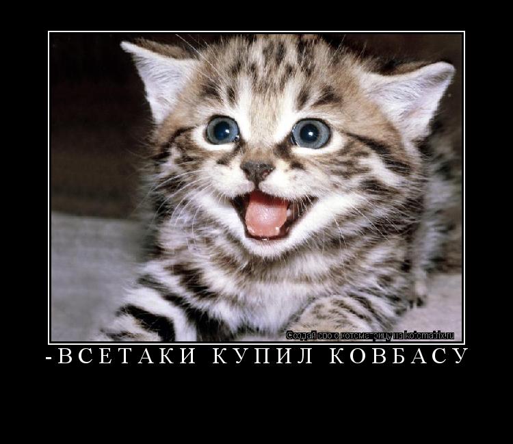 Котоматрица: -всётаки купил ковбасу 