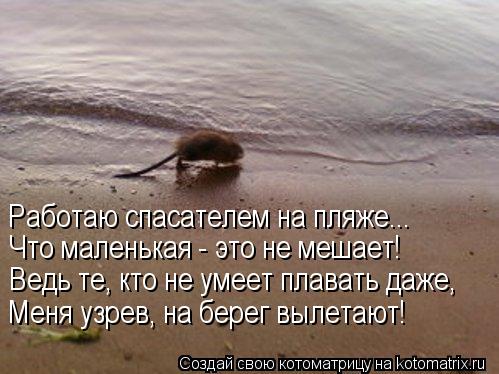 Работаю спасателем на пляже... Что маленькая - это не мешает! Ведь те, кто не умеет плавать даже, Мен... Котоматрица: Работаю спасателем на пляже... Что маленькая - это не мешает! Ведь те, кто не умеет плавать даже, Меня узрев, на берег вылетают!