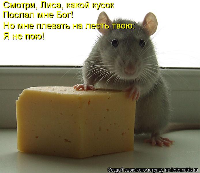 Смотри, Лиса, какой кусок Послал мне Бог! Но мне плевать на лесть твою: Я не пою!... Котоматрица: Смотри, Лиса, какой кусок Послал мне Бог! Но мне плевать на лесть твою: Я не пою!