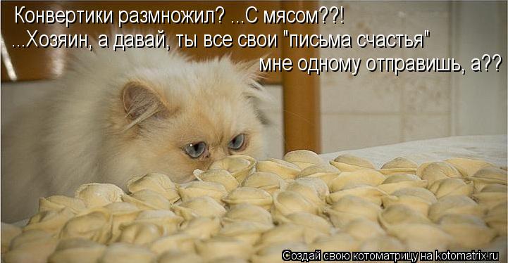 Конвертики размножил? ...С мясом??! ...Хозяин, а давай, ты все свои "письма счастья" мне одному отпр... Котоматрица: Конвертики размножил? ...С мясом??! ...Хозяин, а давай, ты все свои "письма счастья" мне одному отправишь, а??