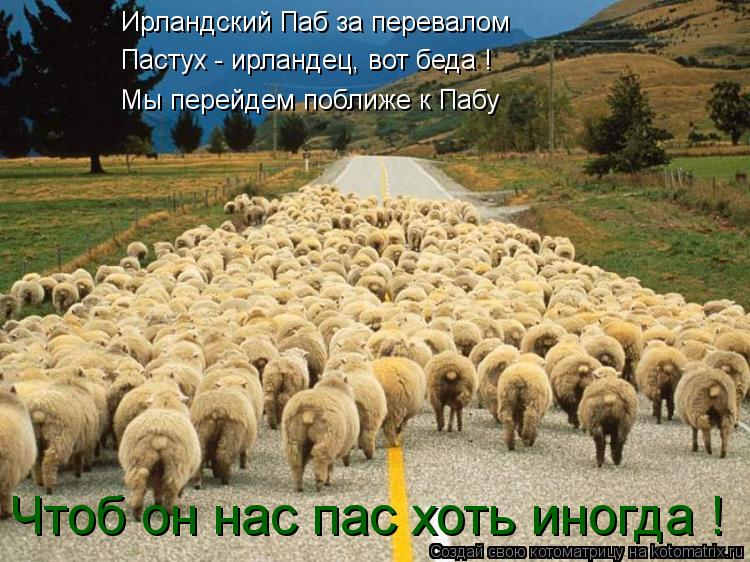 Котоматрица: Ирландский Паб за перевалом Пастух - ирландец, вот беда ! Мы перейдем поближе к Пабу Чтоб он нас пас хоть иногда !