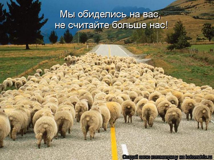 Котоматрица: Мы обиделись на вас, не считайте больше нас!