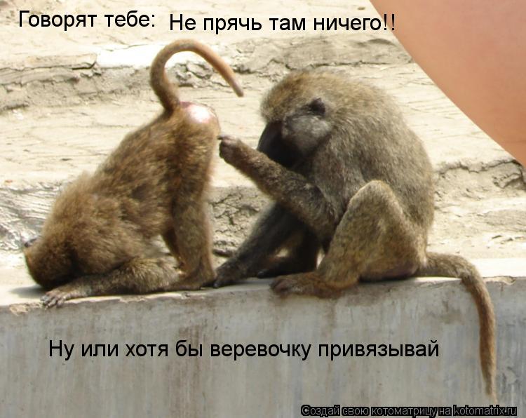 Котоматрица: Говорят тебе: Не прячь там ничего!! Ну или хотя бы веревочку привязывай