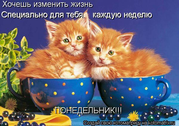 Котоматрица: Хочешь изменить жизнь Специально для тебя…   каждую неделю  Специально для тебя…   каждую неделю  ПОНЕДЕЛЬНИК!!!