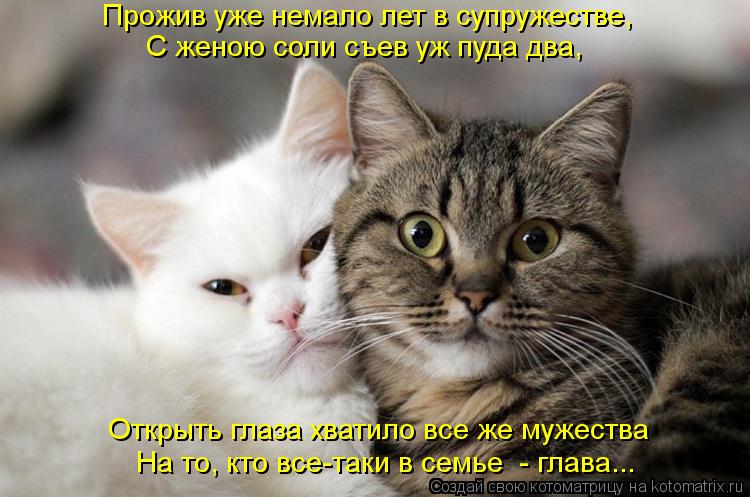 Котоматрица: Прожив уже немало лет в супружестве, С женою соли съев уж пуда два, Открыть глаза хватило все же мужества На то, кто все-таки в семье  - глава...