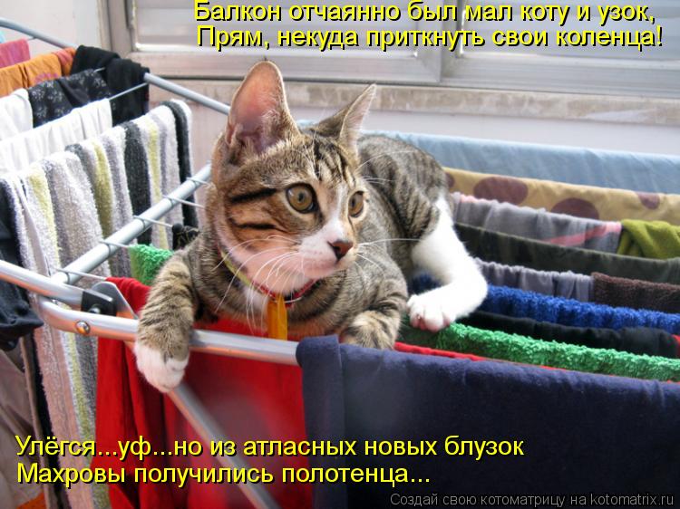 Прям, некуда приткнуть свои коленца! Махровы получились полотенца... Балкон отчаянно был мал коту и у... Котоматрица: Прям, некуда приткнуть свои коленца! Махровы получились полотенца... Балкон отчаянно был мал коту и узок, Улёгся...уф...но из атласных новых бл
