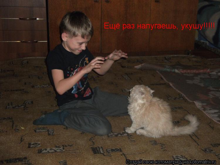 Котоматрица: Ещё раз напугаешь, укушу!!!!!