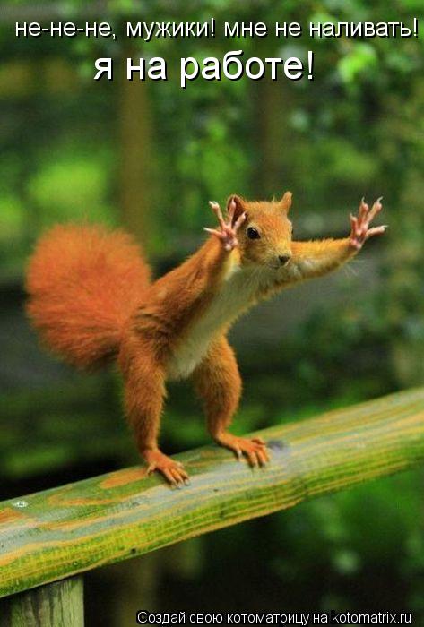 Котоматрица: не-не-не, мужики! мне не наливать! я на работе!