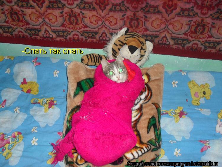 Котоматрица: -Спать так спать